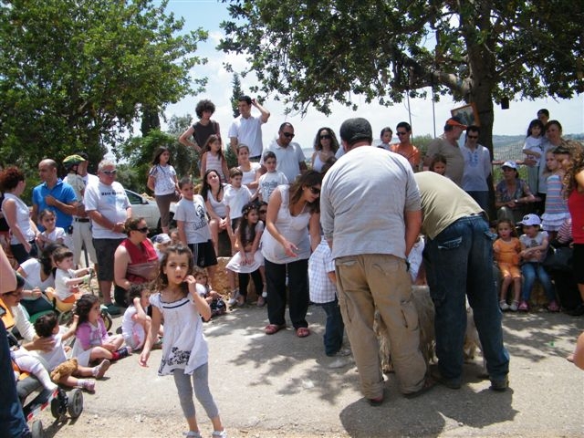 שבועות תש"ע